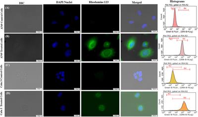 Aerosolizable Lipid-Nanovesicles Encapsulating Voriconazole Effectively Permeate Pulmonary Barriers and Target Lung Cells